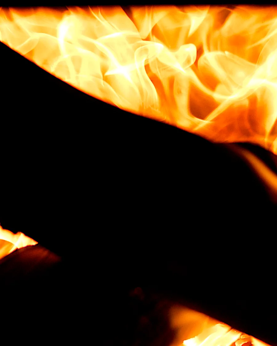 Flames rising off a log inside a dark firebox.